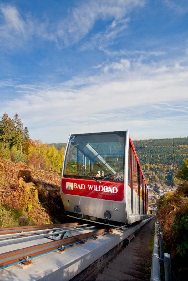 Relax 2 * Bad Wildbad
